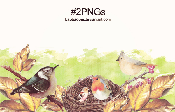 #2PNGs