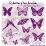 12 Butterflies Brushes for psp