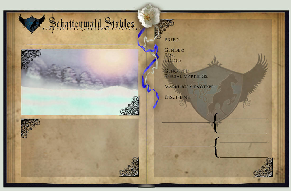 Reference Sheet for Auldale by SweetLittleVampire on DeviantArt