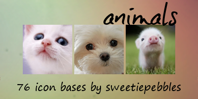 Animal Icon Bases