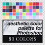 Aesthetic Color Palette for Photoshop