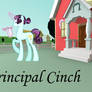 Pony Principal Cinch