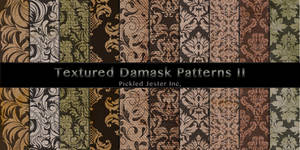 Textured Damask Patterns 2