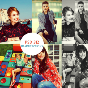 psd 312