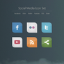 Social Media Icons