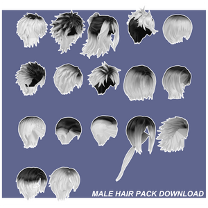 MMD DL - MALE HAIR PACK