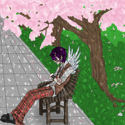 Eromania: Nap Under the Cherry Blossom Trees