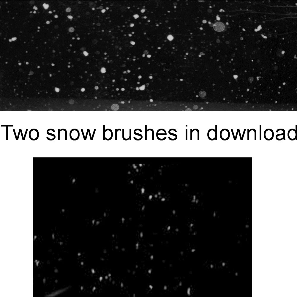 Snow Brushes