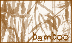 Bamboo