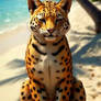 TF 2leopard