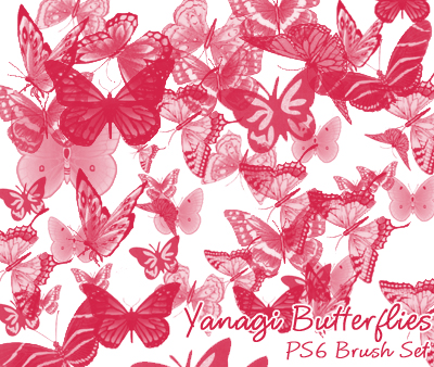 Yanagi Butterfly Brushes