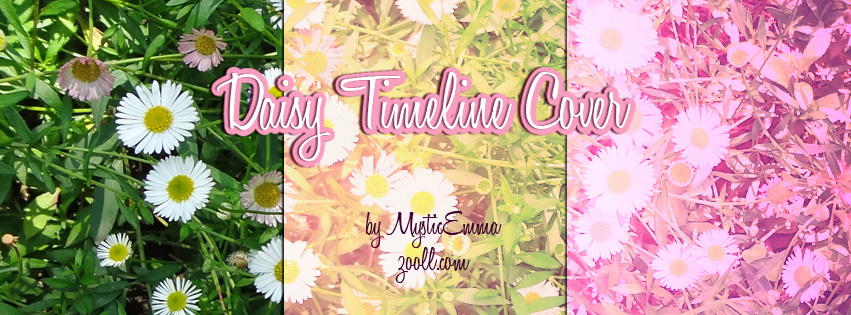 Daisy Timeline Cover