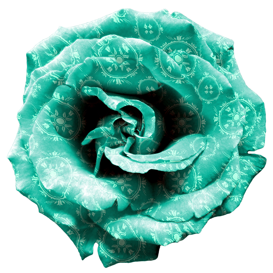 Rose Turquoise PNG