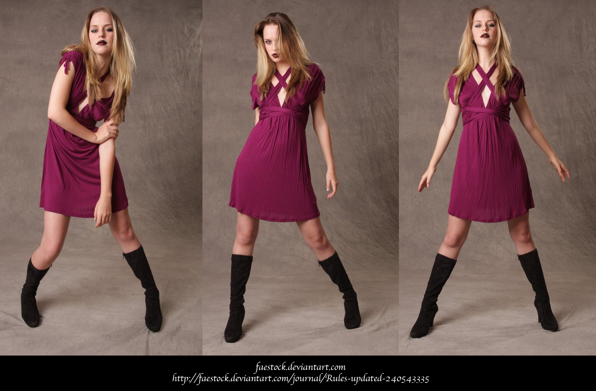 Plum pride 3 by faestock