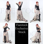 Memento Exclusive Stock by faestock