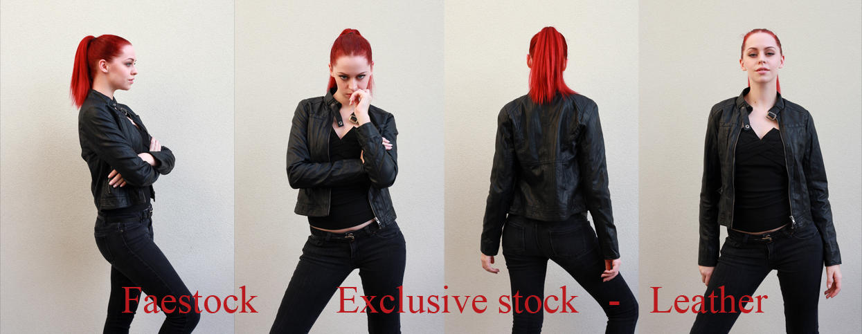 Leather Exclusive stock by faestock