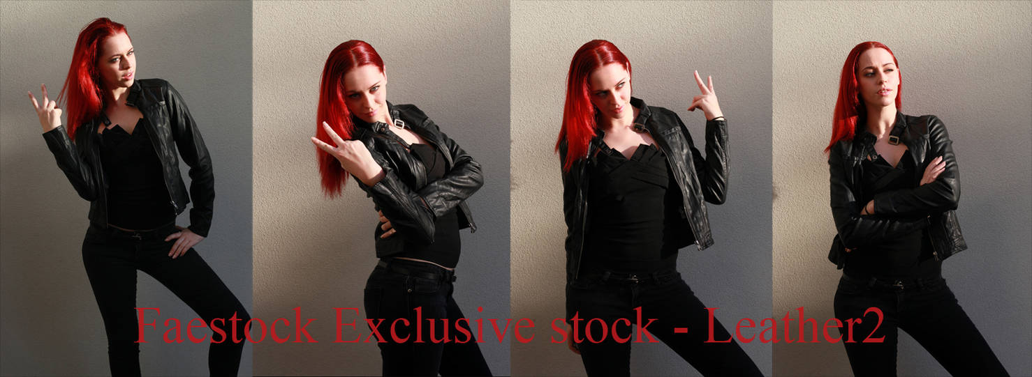Leather Exclusive stock 2 by faestock