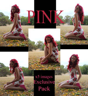 Pink Exclusive Stock by faestock