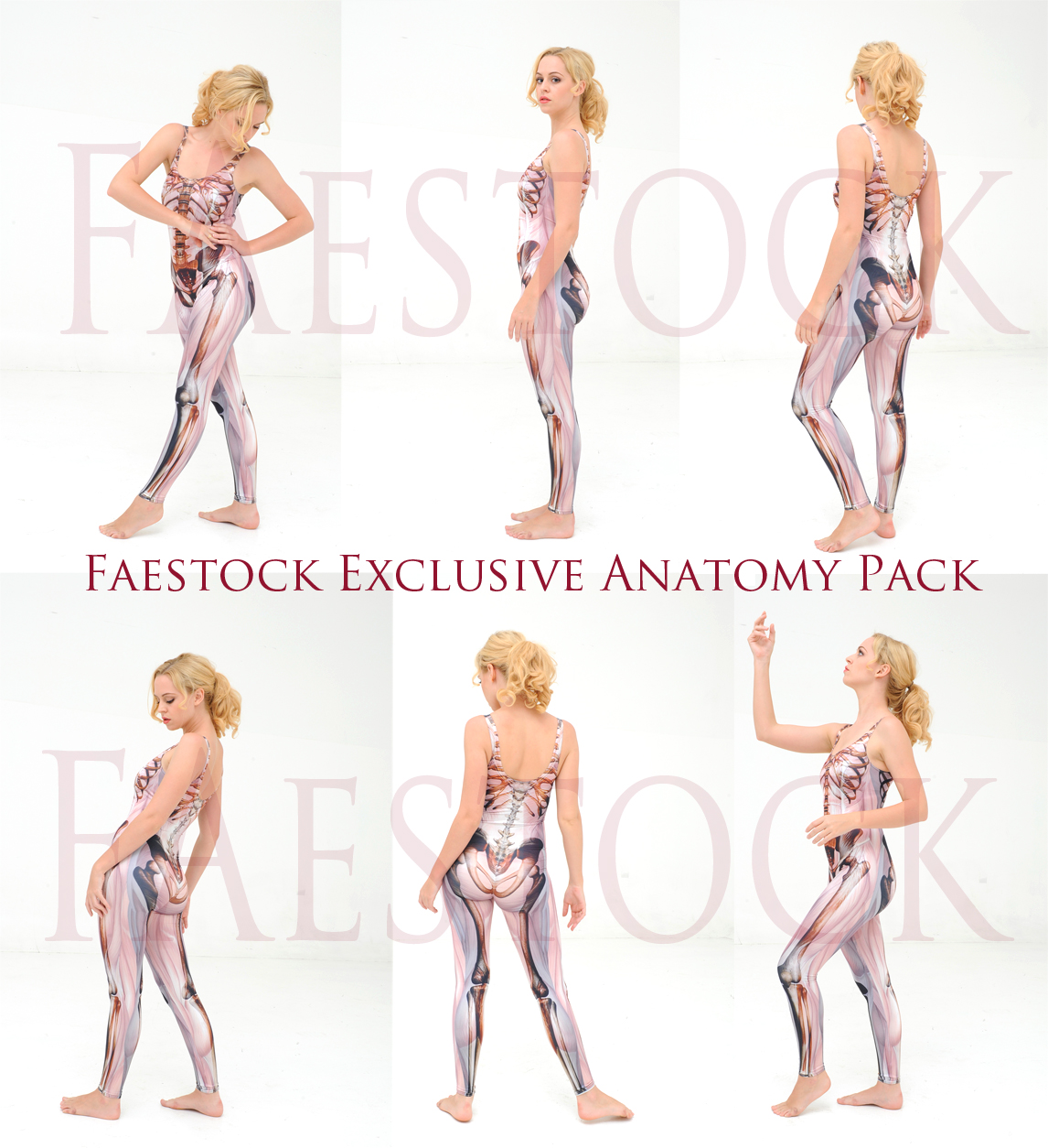 Faestock Exclusive Anatomy Pack