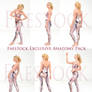Faestock Exclusive Anatomy Pack