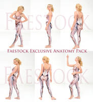 Faestock Exclusive Anatomy Pack