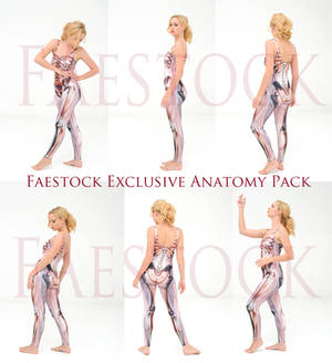 Faestock Exclusive Anatomy Pack by faestock