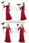 Faestock exclusive  pack Raven1 by faestock