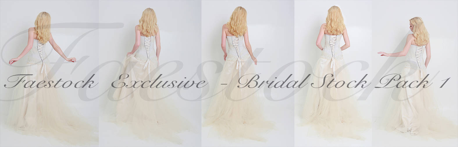 Bridal Exclusive Stock Pack 1 by faestock Bridal Exclusive Stock Pack 1 by faestock