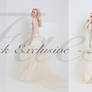 Bridal Exclusive Stock Pack 2