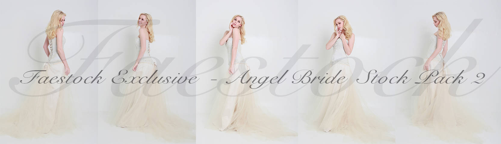 Bridal Exclusive Stock Pack 2 by faestock