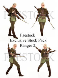 Exclusive Ranger Stock Pack 2