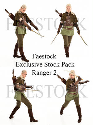 Exclusive Ranger Stock Pack 2 by faestock