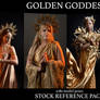 Golden Goddess - Fantasy Model Reference pack