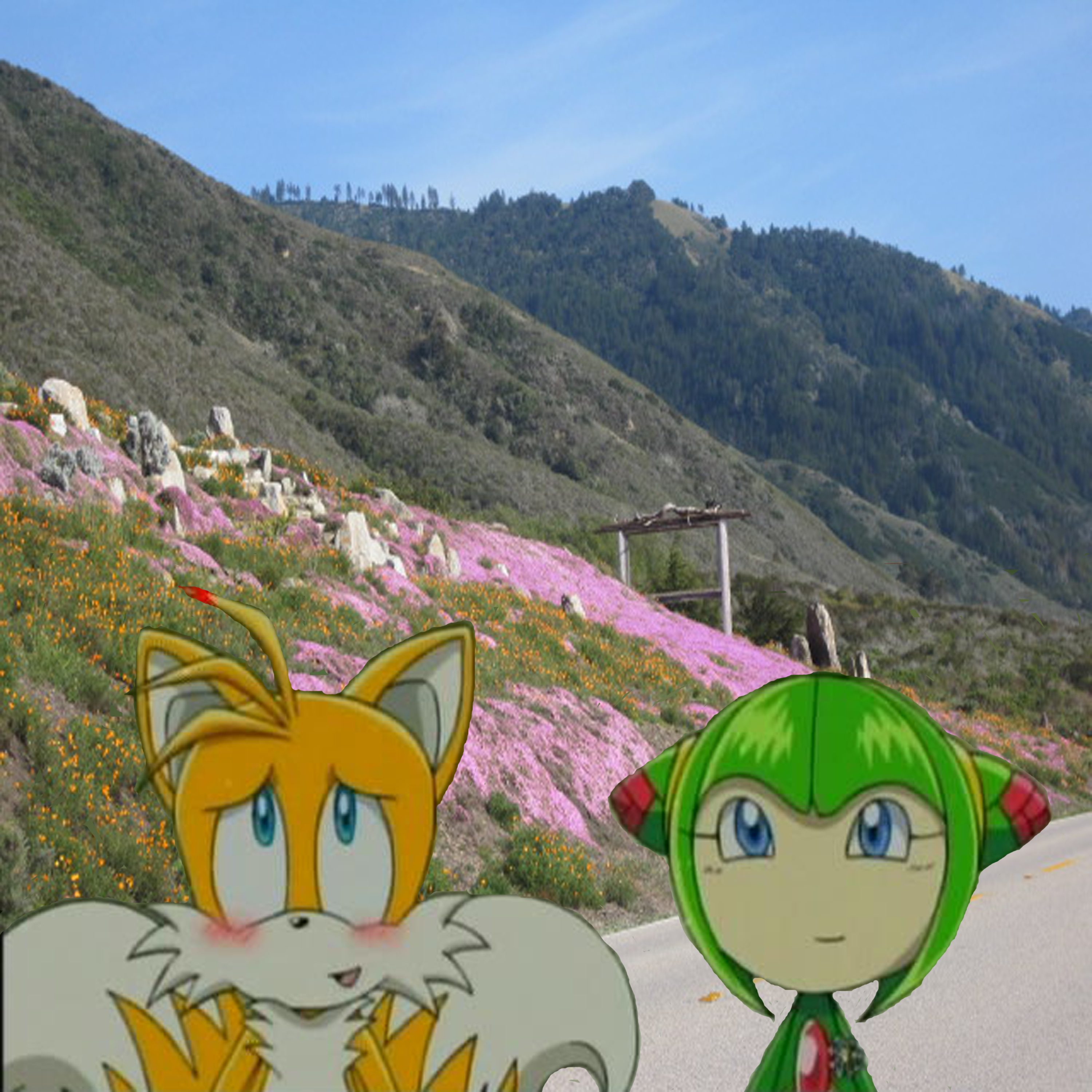 sonic x screenshots tails and cosmo