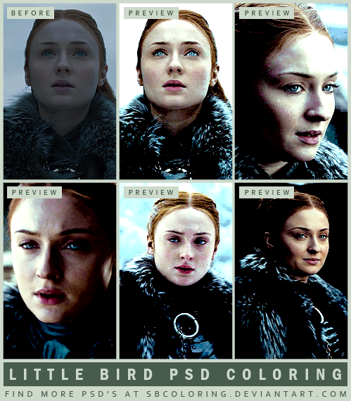 Little Bird by sbcoloring on DeviantArt