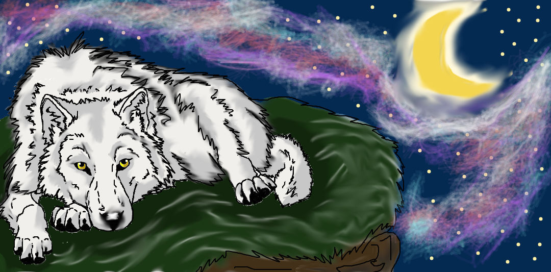 Galaxy wolf by AmberSchuler01 on DeviantArt