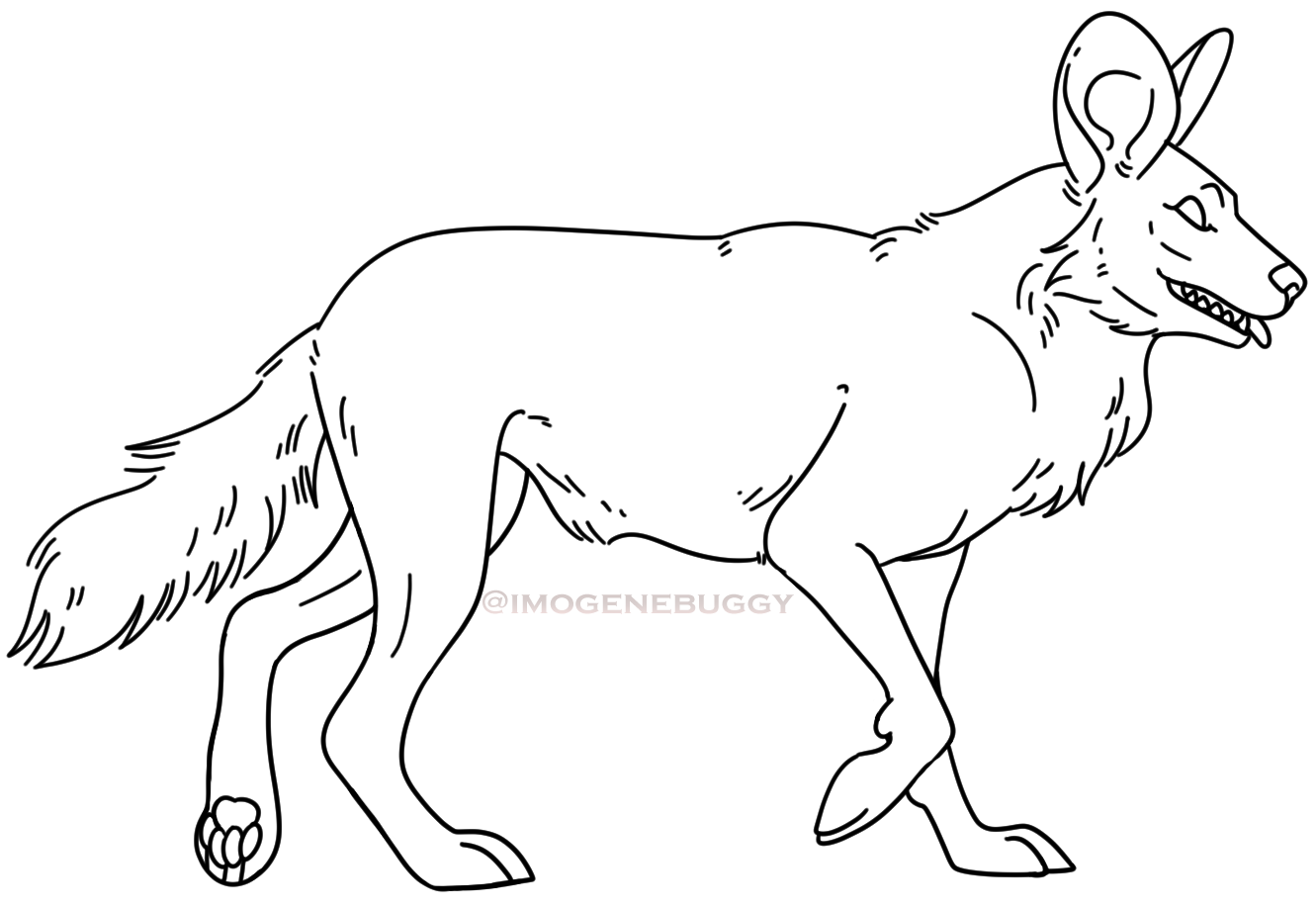 African Wild Dog Base || F2U by Imogenebuggy on DeviantArt