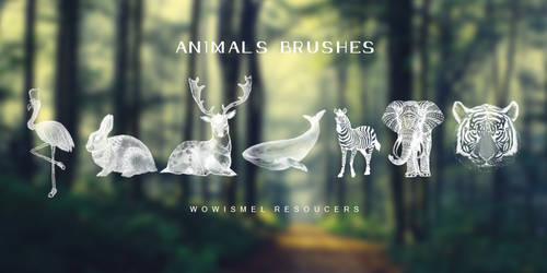 Animals Brushes