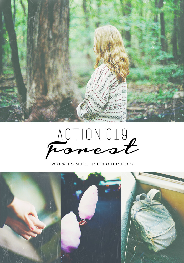 Action 019 - Forest