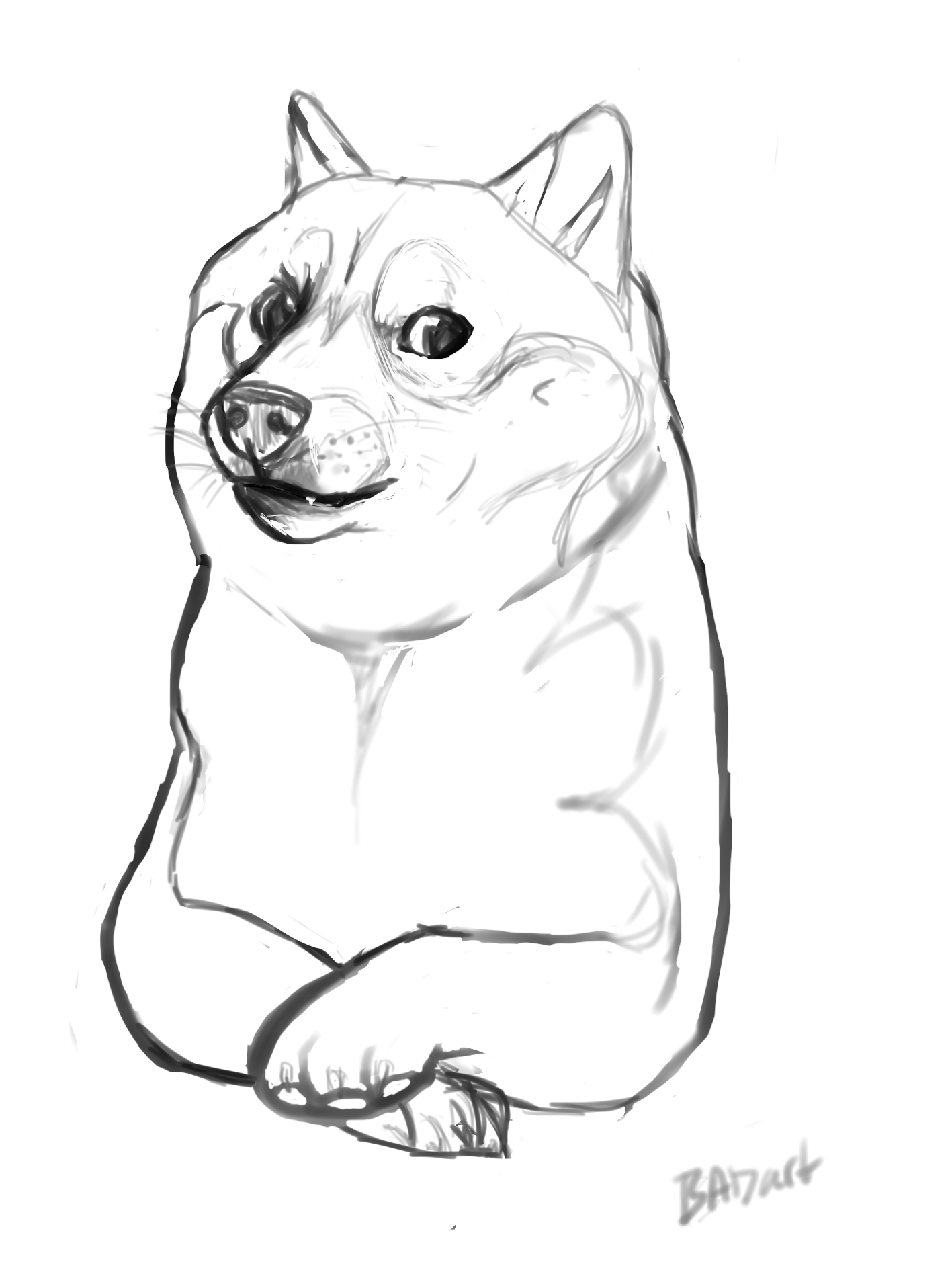 An actual Doge sketch by AnnaBogouslavski on DeviantArt