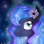 Night Pony :3