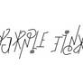 Ambigram for Purple Tinker