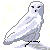 Free Snowy Owl Avatar