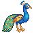 Free Peacock Avatar by CitricLily