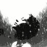 I Let the Rain Inside