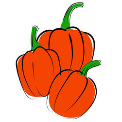 Pumpkins Vector