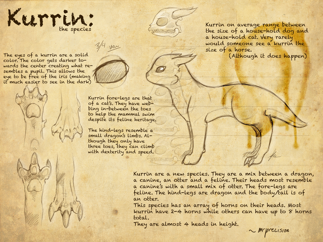 Ku Rrin Beamon Adolecent Kurrin ref by TheGoodLion on DeviantArt