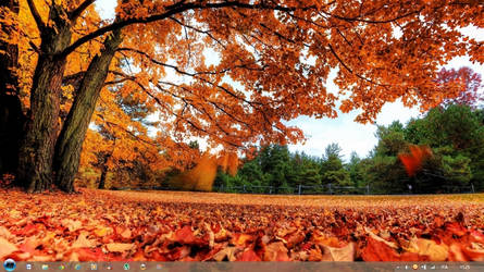 The Autumn Theme Windows 8 by Adyss88