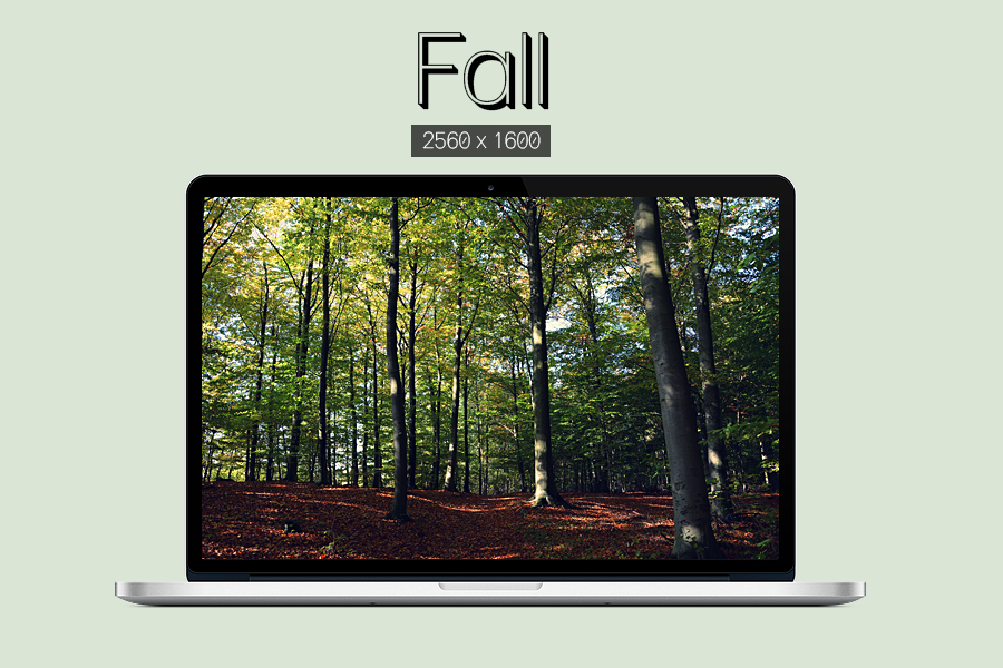 Fall