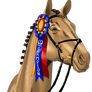 Horse Head (Colored W/ Ribbon)